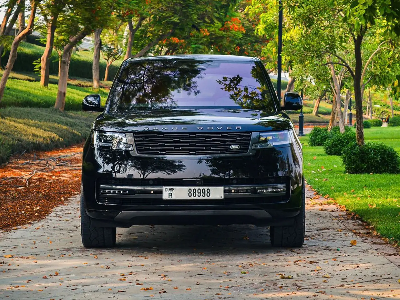 rover-01