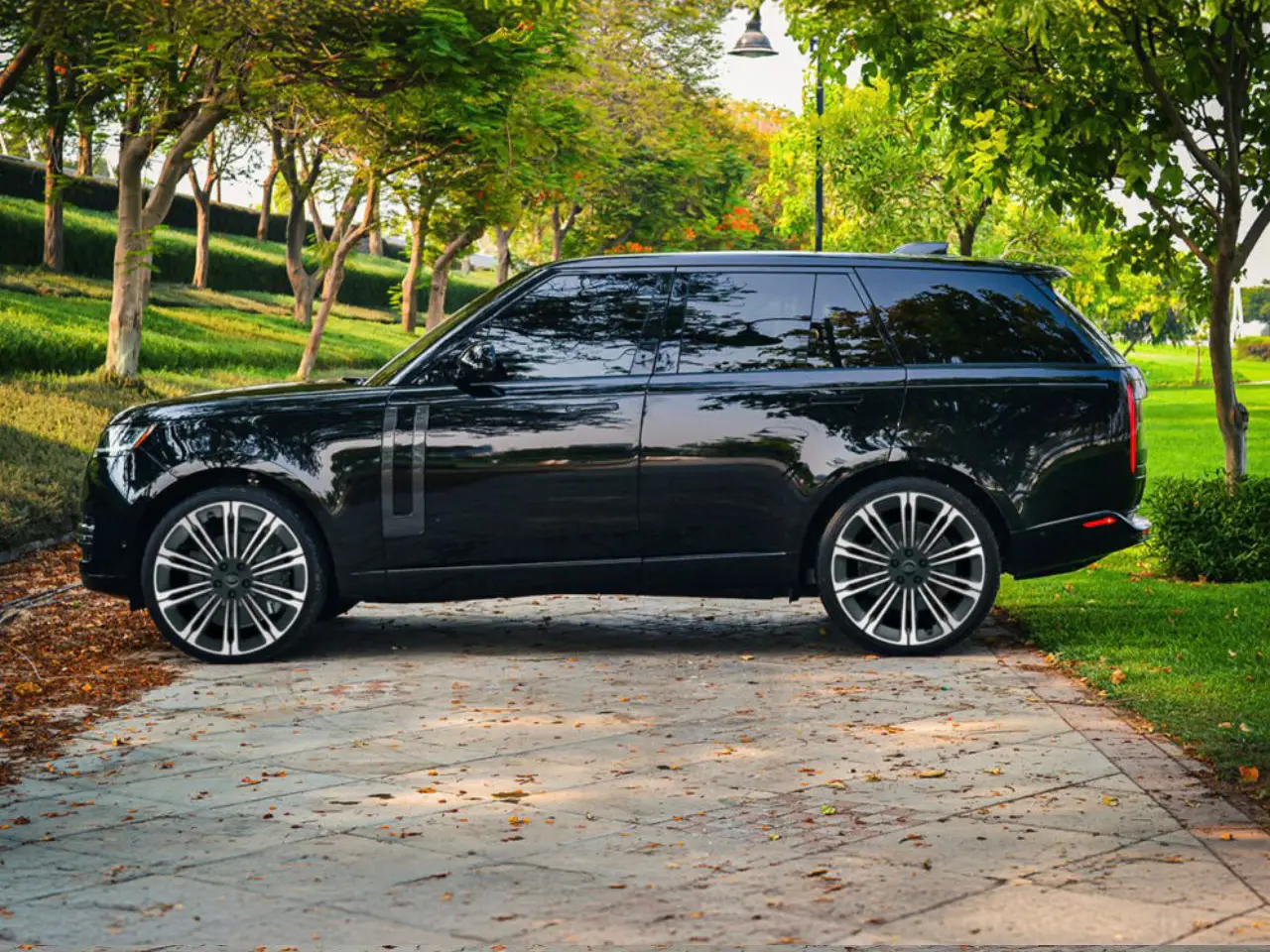 rover-08