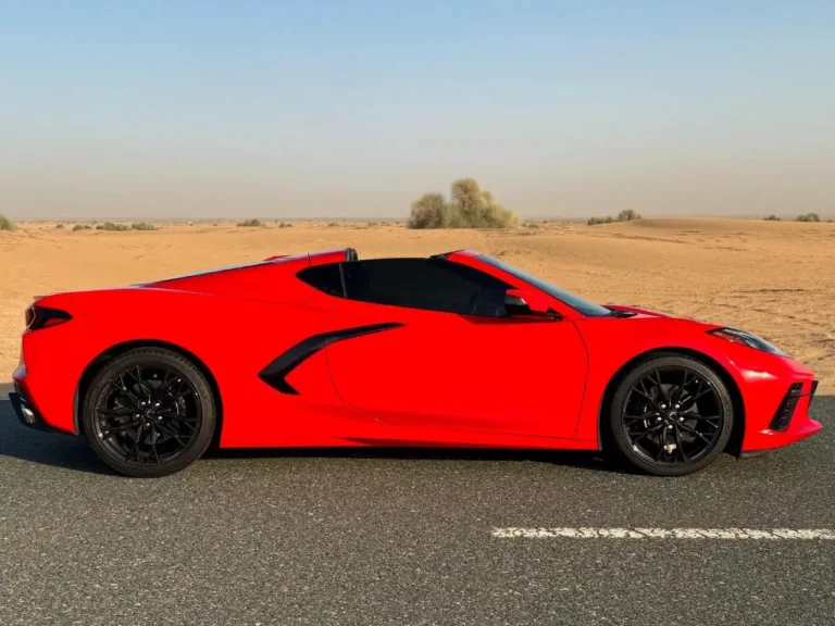 stingray-02