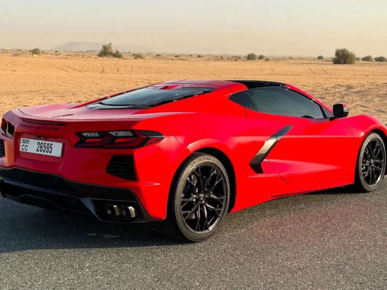 stingray-03