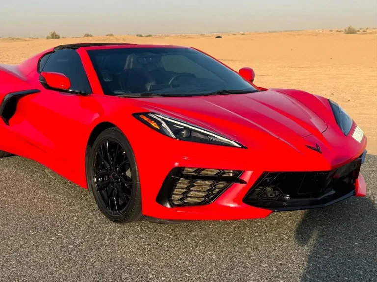 stingray-04