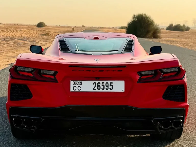 stingray-06