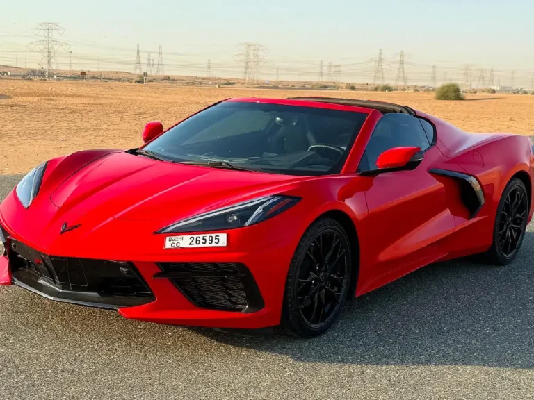 stingray-07